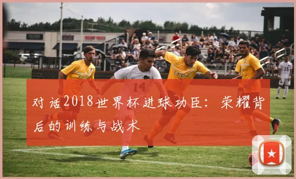对话2018世界杯进球功臣：荣耀背后的训练与战术